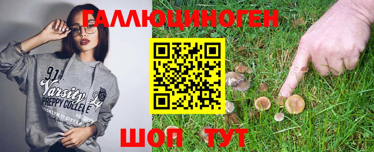 Псилоцибиновые грибы Psilocybine cubensis  Вход с VPN  Волоколамск 
